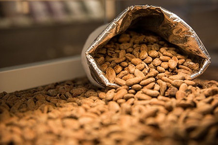 page-maison-cacaotier_feves