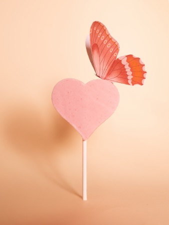 sucette guimauve St Velentin 2026.jpg