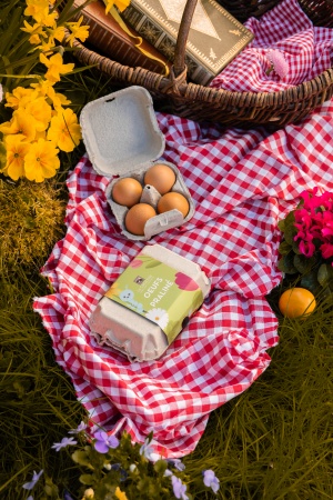 boite oeufs praliné.jpg