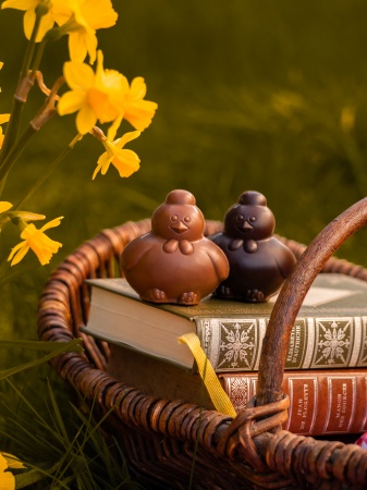 mini poule noir et lait.jpg