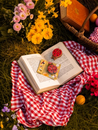 bouchée coccinelle 2.jpg