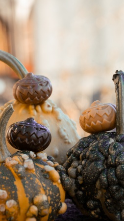 Citrouille Praliné Halloween 15g