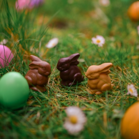 Mini-lapin
