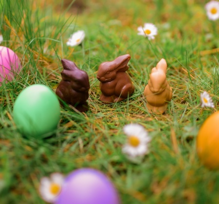 Mini-lapin