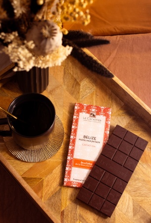 Tablette Belize Maya Mountain (noir 72%) - BeanToBar